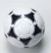 国内最大开,闭顶体育场,馆否认开闭,bwin体育平台,bwin体育官方网站,bwin体育登录入口,bwin体育app下载