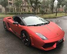 澳夫妇喜获,万强力球大,幸运锦鲤现,bwin体育平台,bwin体育官方网站,bwin体育登录入口,bwin体育app下载