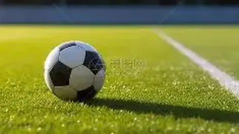 bwin体育 产品 084017 4fq