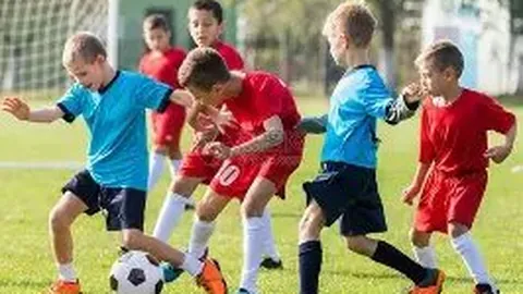 bwin体育 资讯 083926 svv